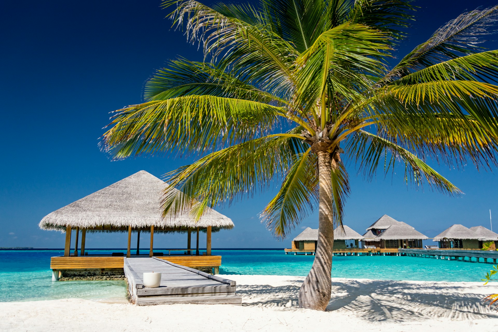 Pour s’envoler au soleil sans se ruiner, les bons plans sont sur le site Hotelissima.com !